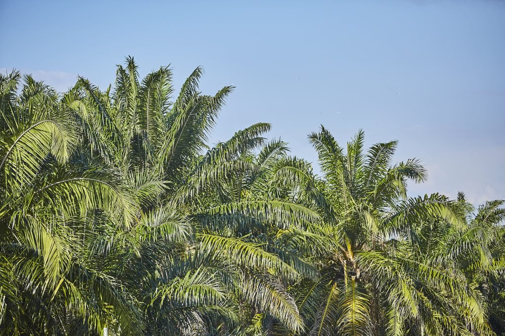 howto 01 min 1024x683